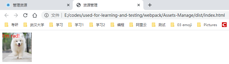 image-20200501152627169